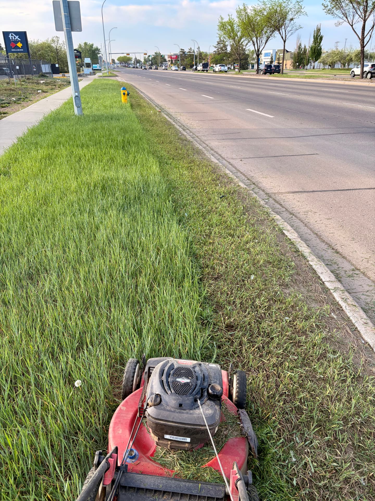 Stewart mowing a boulevard strip with a Toro mower