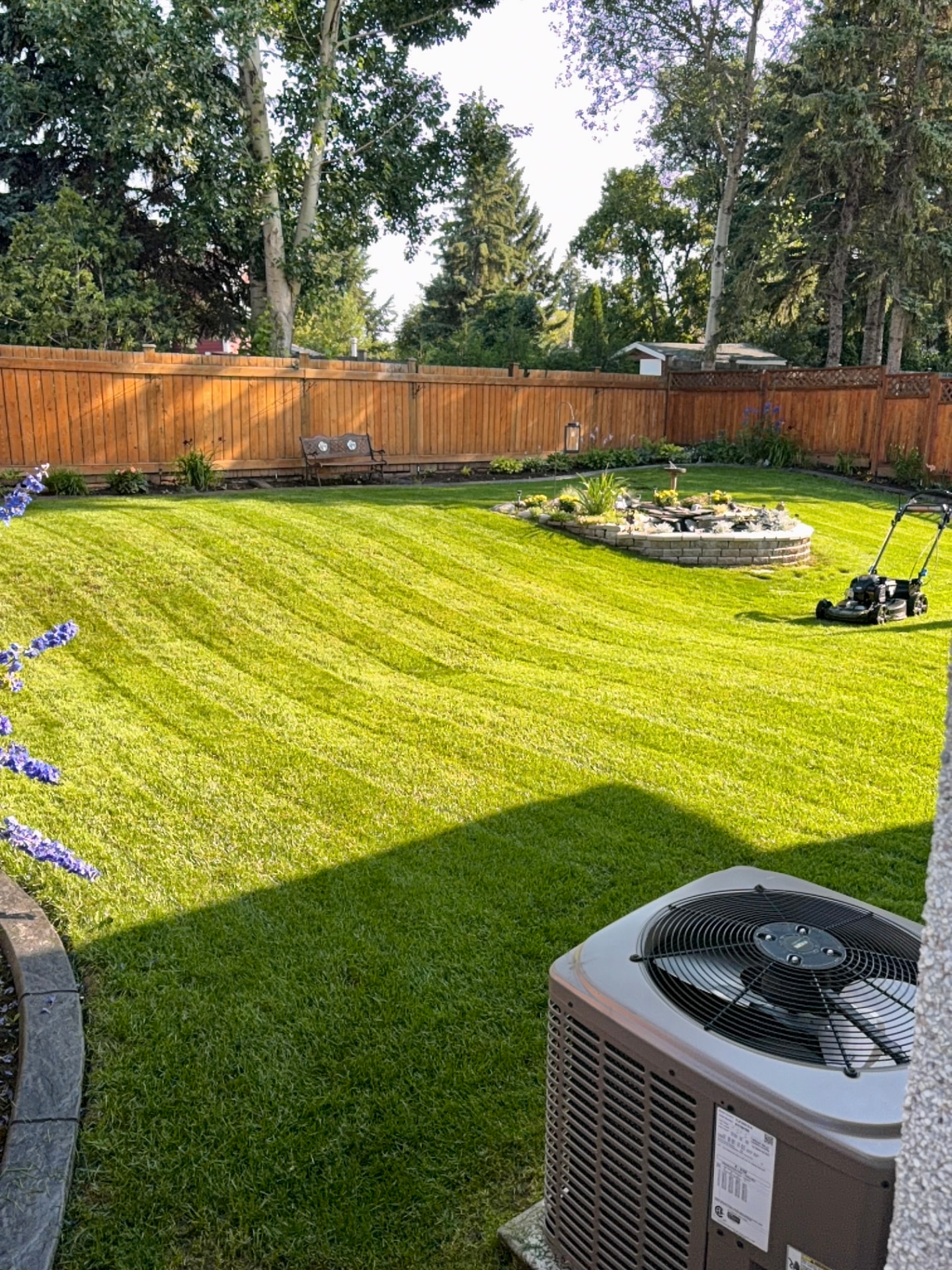 Manicured backyard lawn with diagonal mowing stripes